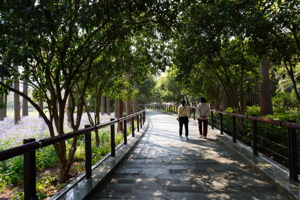 开户配资网站 上海中心城区有城墙的公园，为什么不能打开这道门？