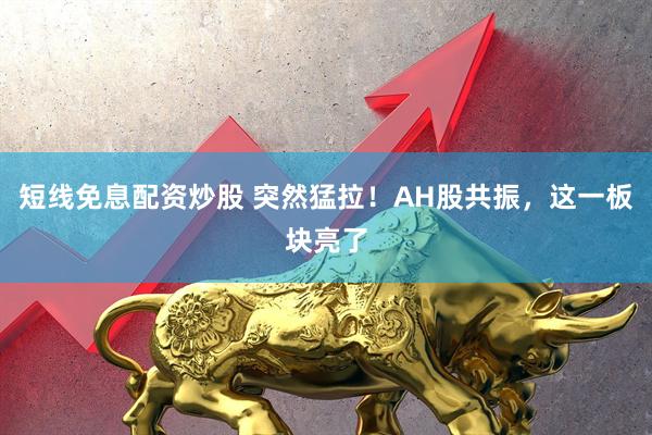 短线免息配资炒股 突然猛拉！AH股共振，这一板块亮了